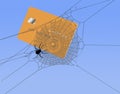 A spiderÃ¢â¬â¢s web captures a generic credit card in a 3-d illustration about feeling trapped by credit card payments